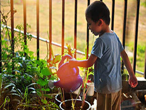 boy-watering-plants